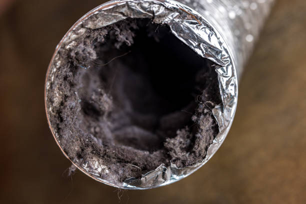 Best Affordable Duct Cleaning Services  in Macon, IL